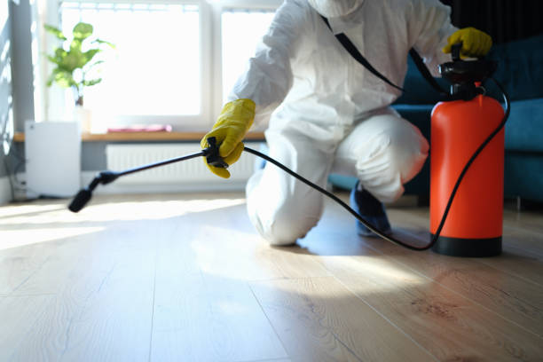 Reliable Biohazard Cleanup contractor in Townsend, TN by Trauma Clean Pros